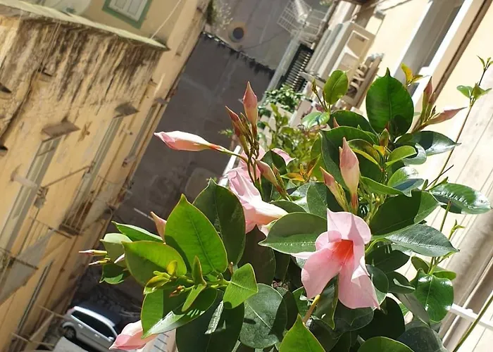 Santa Chiara 4* 나폴리